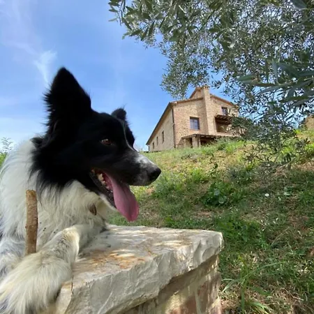 Podere San Selvatico * Città della Pieve
