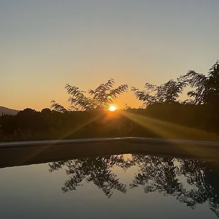 Podere San Selvatico *