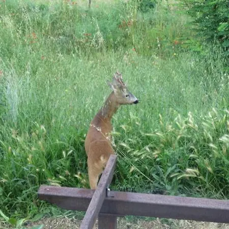 Podere San Selvatico * Città della Pieve