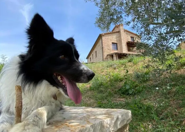 Podere San Selvatico * Città della Pieve